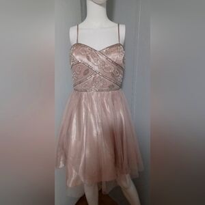 Jump Apparel Blush  Dress